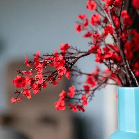 Le Terroir, Au Calme A Deux Pas Du Centre