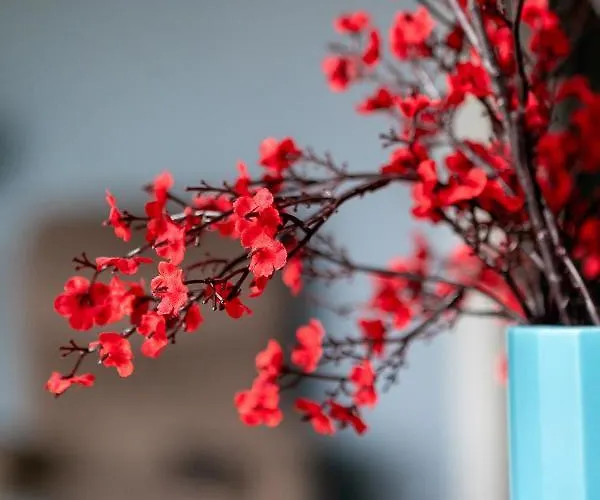 Le Terroir, Au Calme A Deux Pas Du Centre